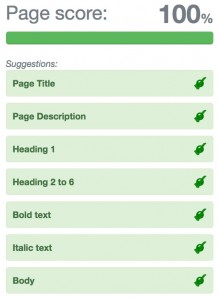 WebTextTool SEO teksten Vinkjes 100 procent